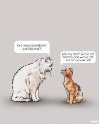 Purebred Cats vs. Street Cats