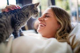 The Impact of Cats on Human Health – How living with a cat may reduce stress and help improve mood.