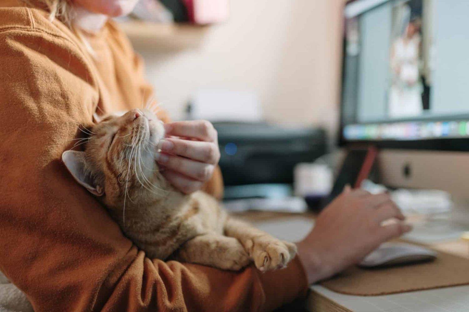 Mental Health Benefits of Owning a Cat