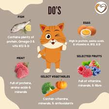 Cat nutrition – What your cat needs to eat to stay healthy.
