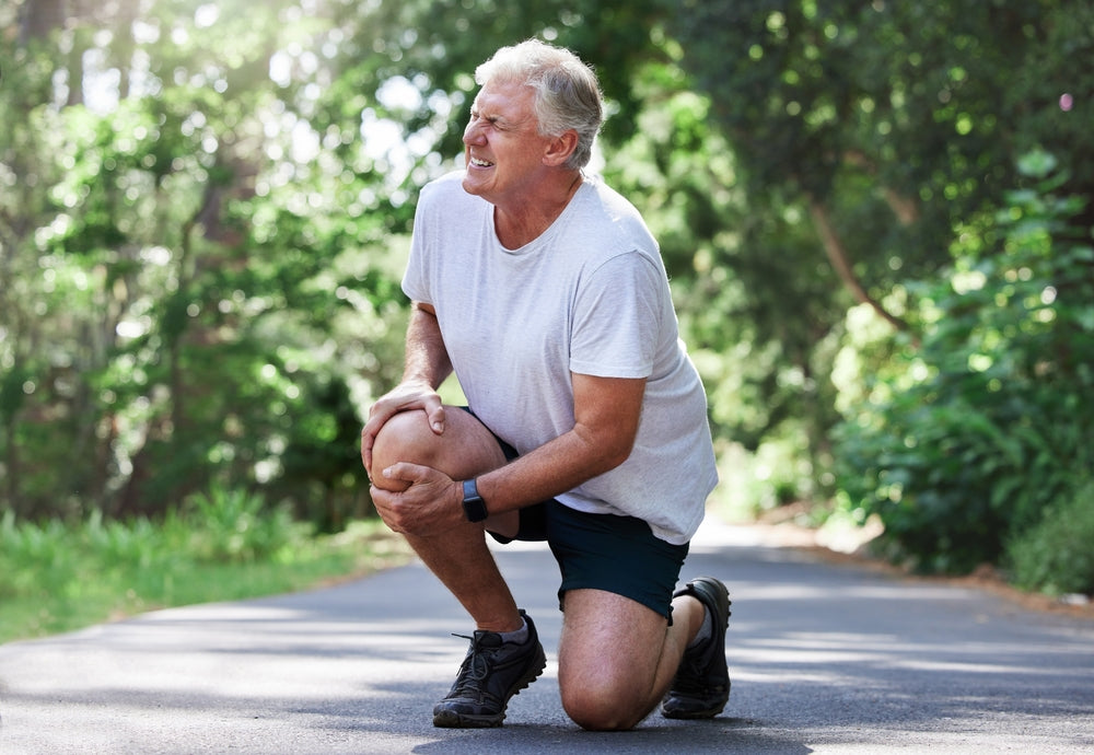 Daily Wellness | Pain Relief Ointment | Active ingredient +3%
